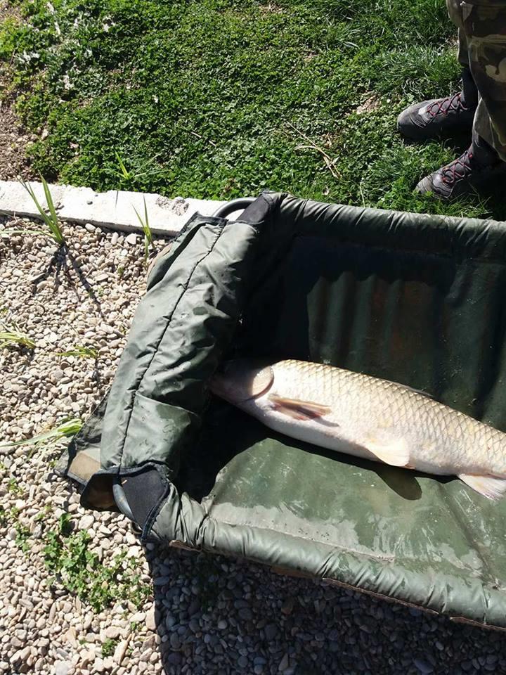 27 -28 Martie Hermes Peris 2017 - 1805195912969294636953511555489019n.jpg